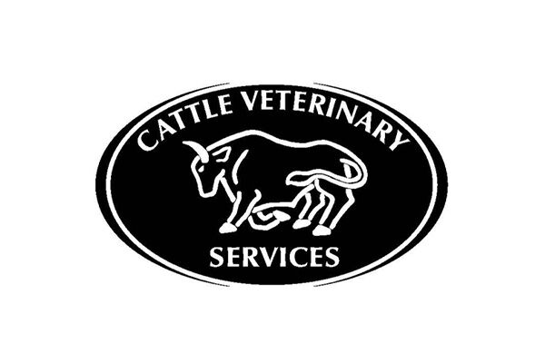 Cattle Vet Services