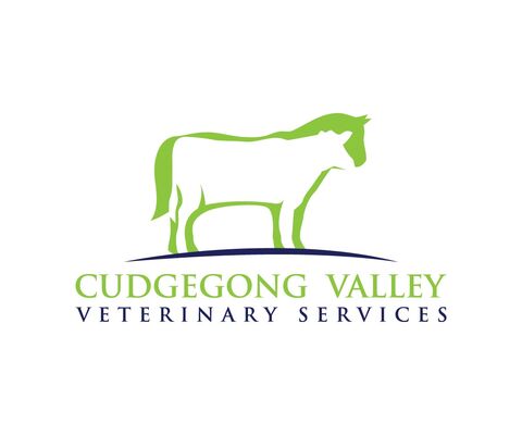 Cudgegong Valley Veterinary Services