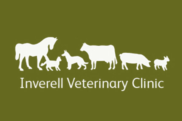 Inverell Vet Clinic