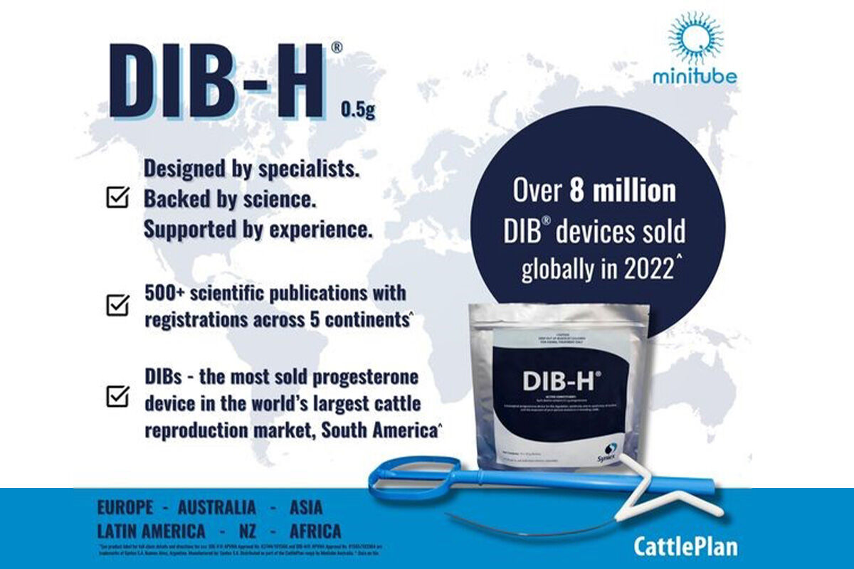 Why use DIB progesterone devices?