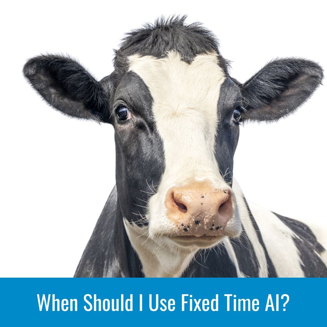 When to use Fixed Time AI - Cattleplan